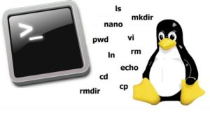 Commandes Linux - Deviens Le Maître De Ton OS - Linux-Man