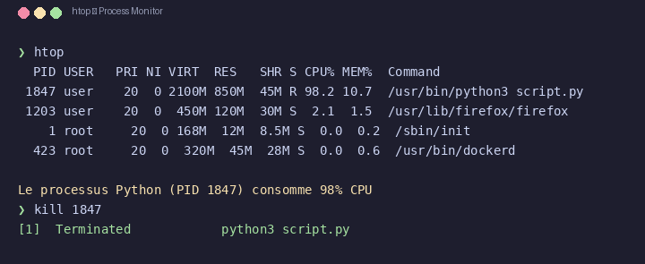 htop moniteur de processus Linux