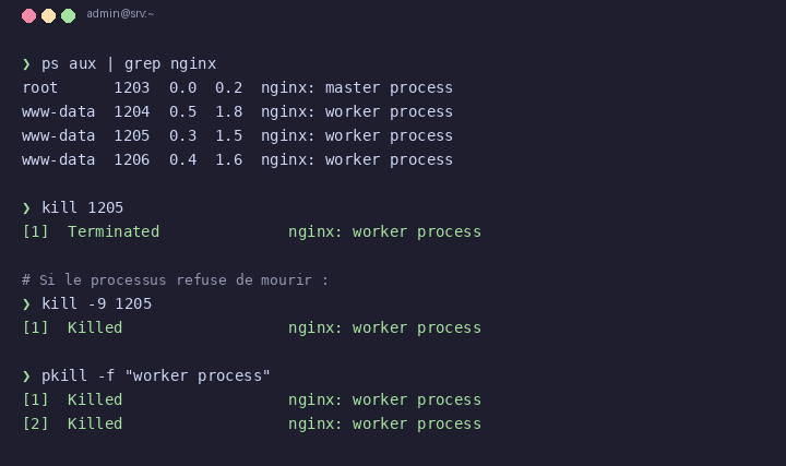 Commande kill et kill -9 sous Linux