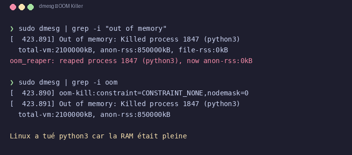 OOM Killer dans dmesg Linux